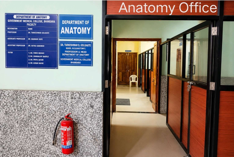 anatomy-office