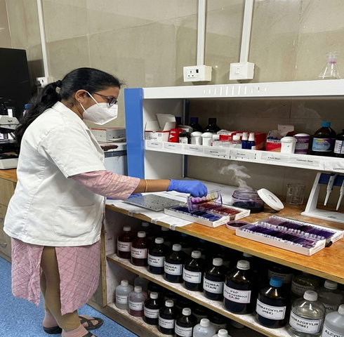 Cytopathology Smears